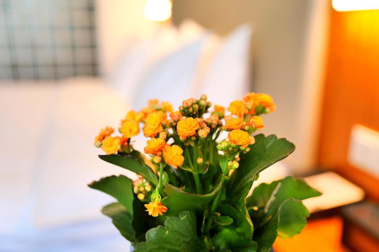 Holiday Inn Express Luoyang Xiyuan Kültér fotó